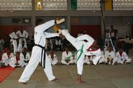 Ghana Taekwondo officials for European Championship
