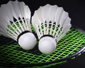 Badminton: Ghana win 4 medals in Mauritius