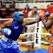 IOC confirm no headguards at Rio Olympic Games