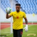 Coach Milovan Rajevac hails Olele for scouting goalie Wollacott