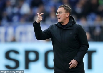 ‘I’ve never heard anything so stupid in my life’-  Harry Redknapp on Man United incoming interim manager