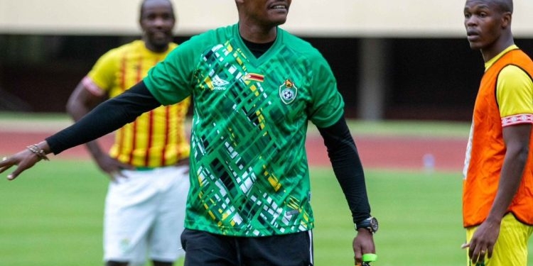 Qatar 2022 qualifier: Zimbabwe head coach warns SA over Ghana ‘antics’