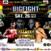 Ghana Boxing Authority’ goodwill message to fighters on Cabic Big Fight Night