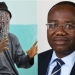 Quash ‘erroneous’ order of High Court for Anas to testify in camera – Nyantakyi pleads with Supreme Court