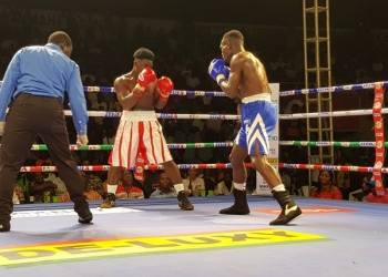 Deluxy Pro Boxing League: Sonia Gym in cruise control atop standings