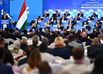 How FINA has established a working group to create an open category