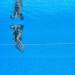 Breathtaking: Coach saves swimmer Alvarez after fainting in pool at FINA World Championships