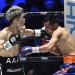 Inoue stops Donaire in second round to unify bantamweight titles