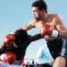 Jeff Fenech retroactively awarded fourth world title 30 years after controversial Azumah Nelson draw