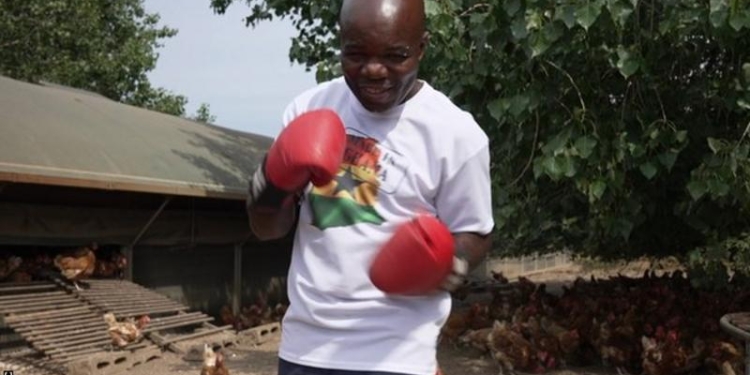 How a British boxing champ returned to his Ghanaian roots on an English chicken farm