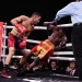 Maestre knocked out Marshall in Maryland