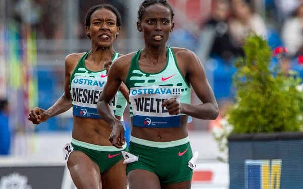 Welteji, Hailu and Chepkoech to clash in Torun 1500m