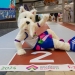 Scottee selected as mascot for World Athletics Indoor Championships Glasgow 24