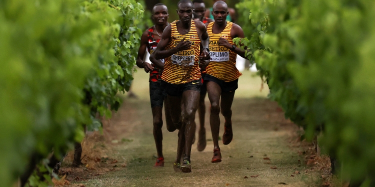 Entry lists for WXC Belgrade 24 published