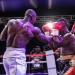 UBO declare Idowu Rasheed new Africa light heavyweight champ