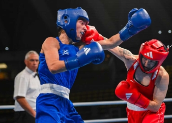 Boxing Road to Paris qualification series ended: 249 boxers to compete in the Olympic Games