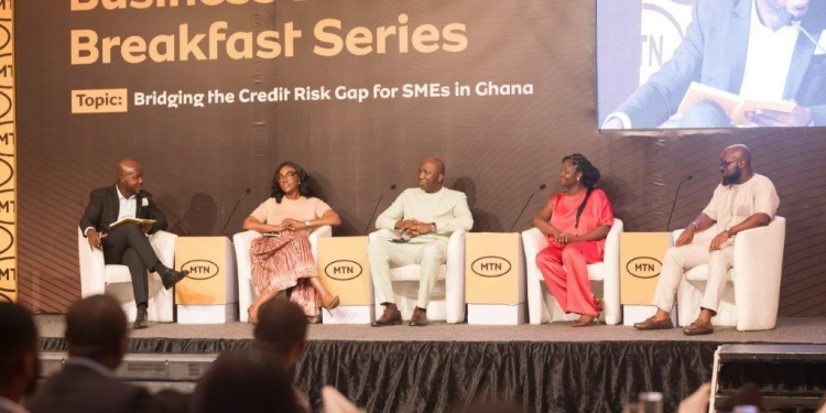 MTN CEO advocates for partnerships to create a robust SME ecosystem