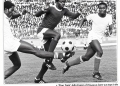 History of the National Football League (1983) – No challenger for Kotoko